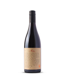 LETHBRIDGE Mietta Pinot Noir 2019 Discount