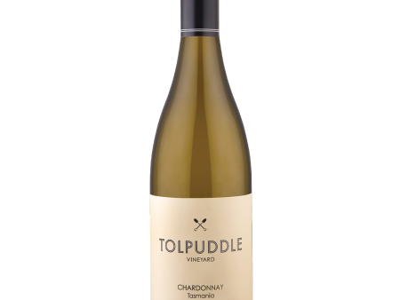 TOLPUDDLE Chardonnay 2023 Online now